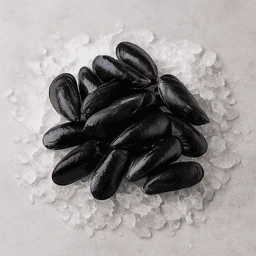 moules du bbouchot