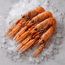 langoustines