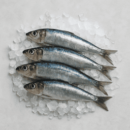 sardines